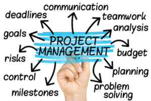 carrer in project management